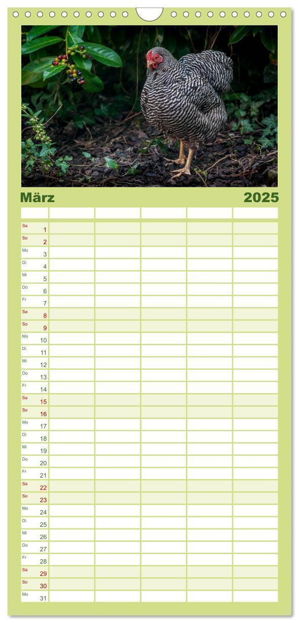 Bild: 9783457116302 | Familienplaner 2025 - Gartenhühner mit 5 Spalten (Wandkalender, 21...