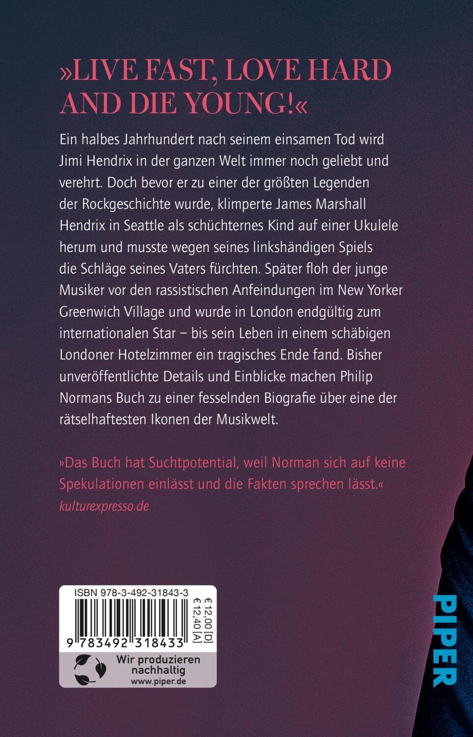 Rückseite: 9783492318433 | JIMI | Die Hendrix-Biografie Die Geschichte des Rockmusikers | Norman