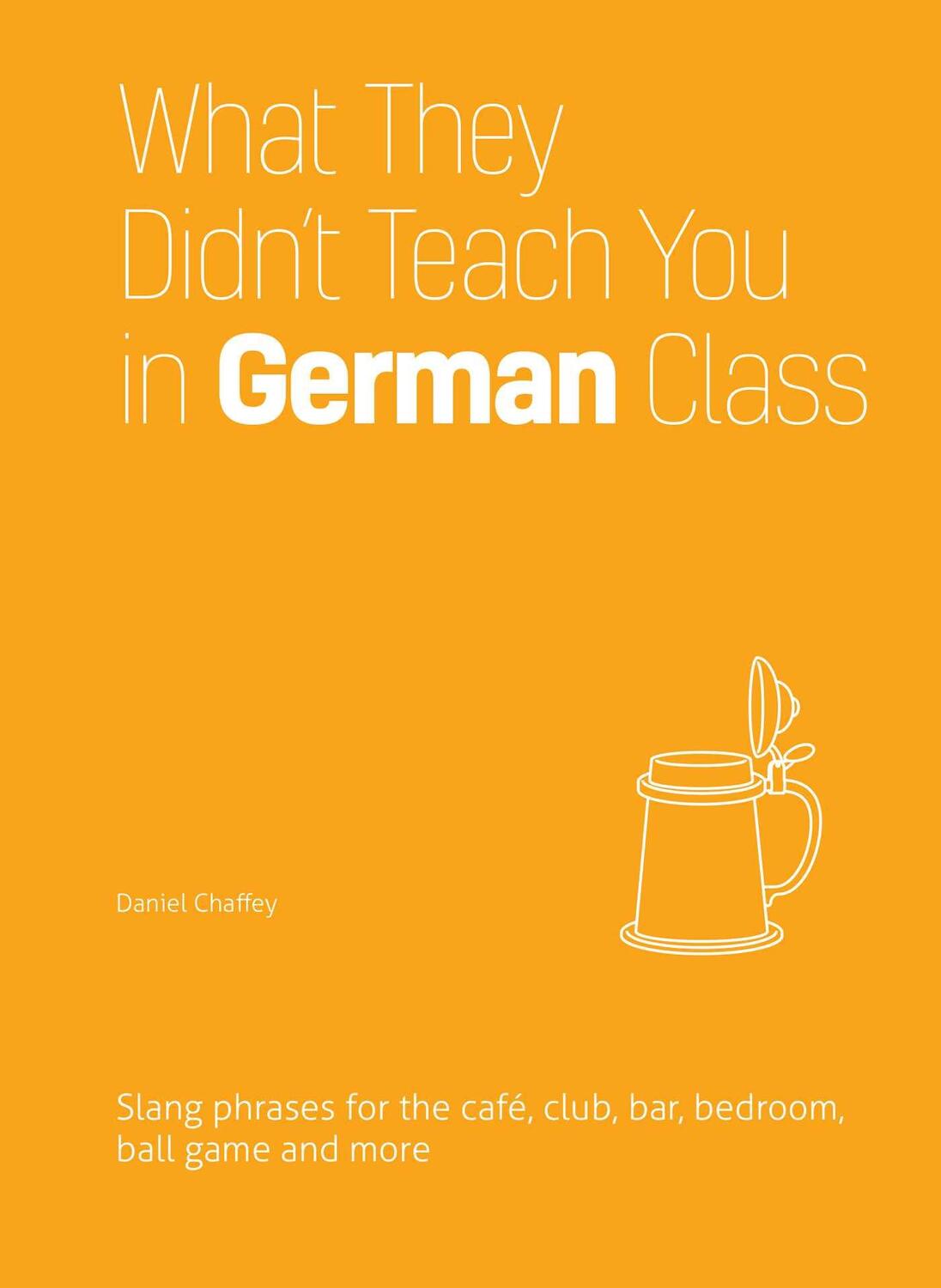 Cover: 9781612436760 | What They Didn't Teach You in German Class: Slang Phrases for the...