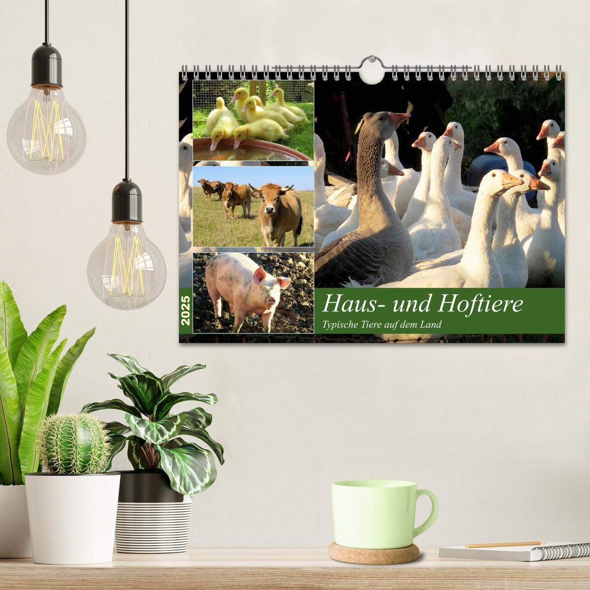 Bild: 9783435401208 | Haus- und Hoftiere (Wandkalender 2025 DIN A4 quer), CALVENDO...