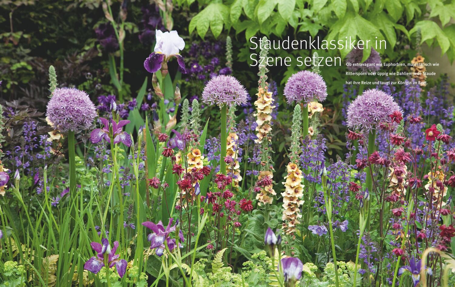 Bild: 9783833868672 | Ganzjährig attraktive Beete mit Blatt und Blüte | Ute Bauer (u. a.)