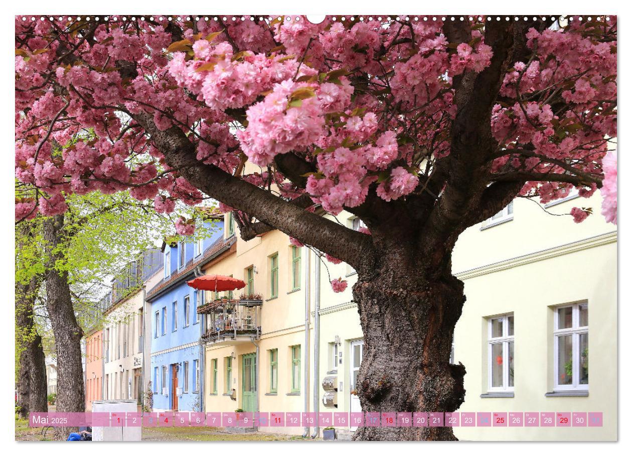 Bild: 9783435086870 | Werder (Havel) - Die Altstadtinsel (Wandkalender 2025 DIN A2 quer),...