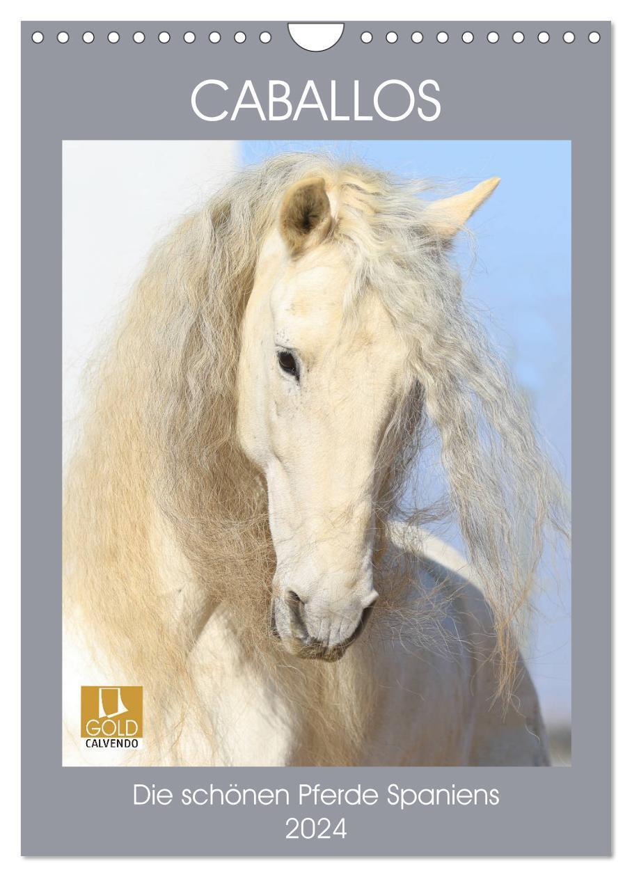 Cover: 9783383162244 | Caballos - Die schönen Pferde Spaniens (Wandkalender 2024 DIN A4...