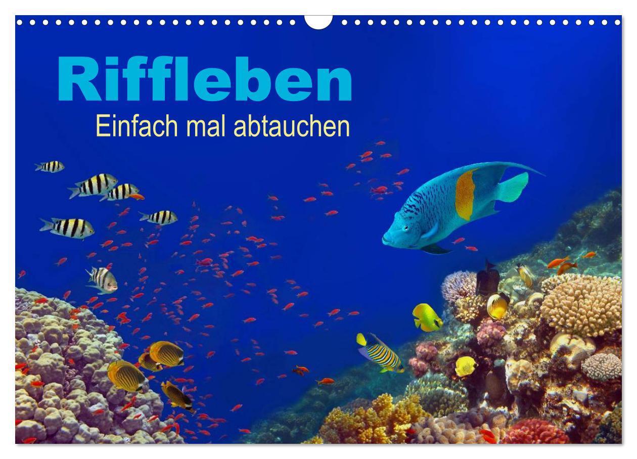 Cover: 9783675474314 | Riffleben - Einfach mal abtauchen (Wandkalender 2024 DIN A3 quer),...