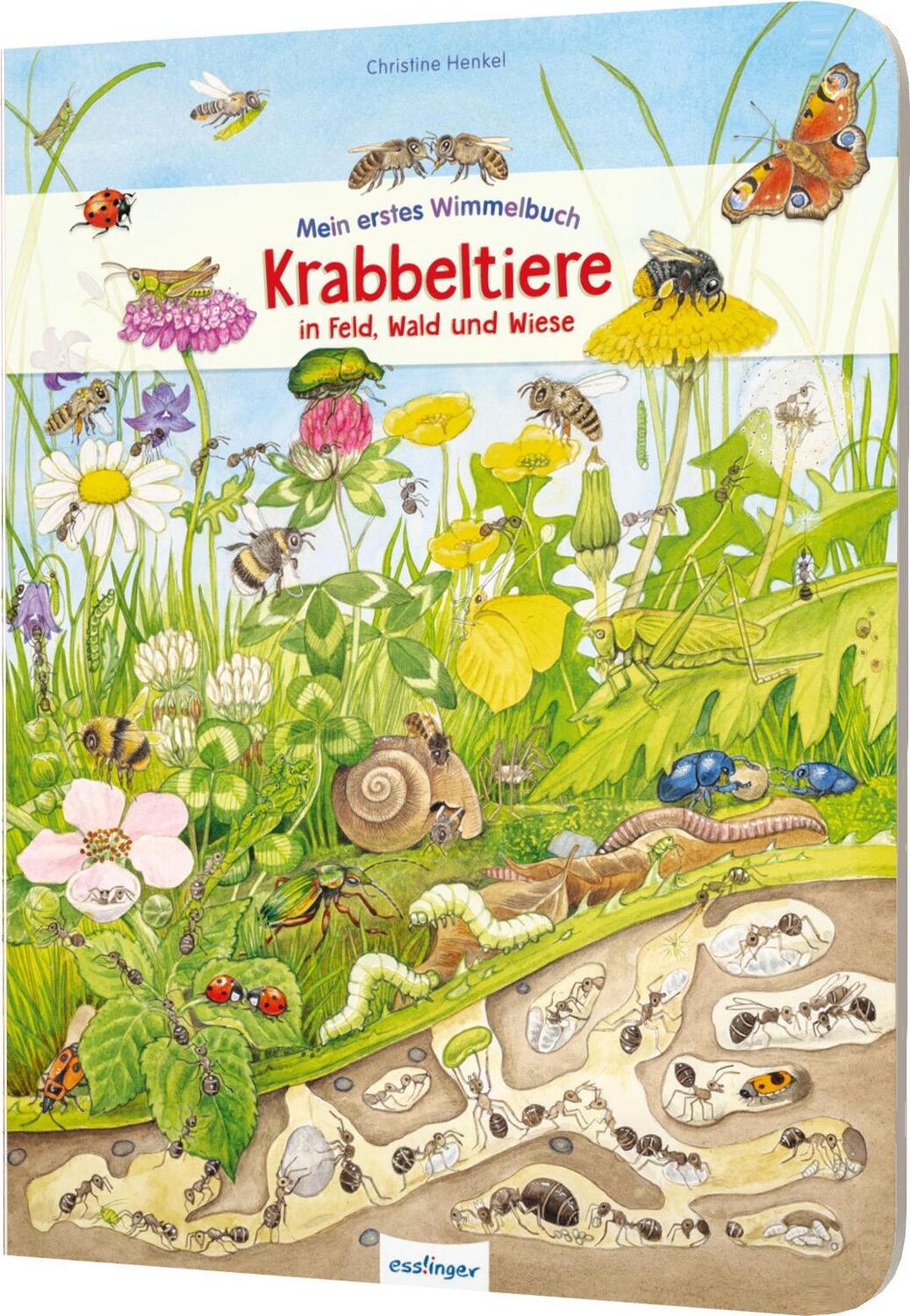 Cover: 9783480236855 | Mein erstes Wimmelbuch: Krabbeltiere in Feld, Wald und Wiese | Buch