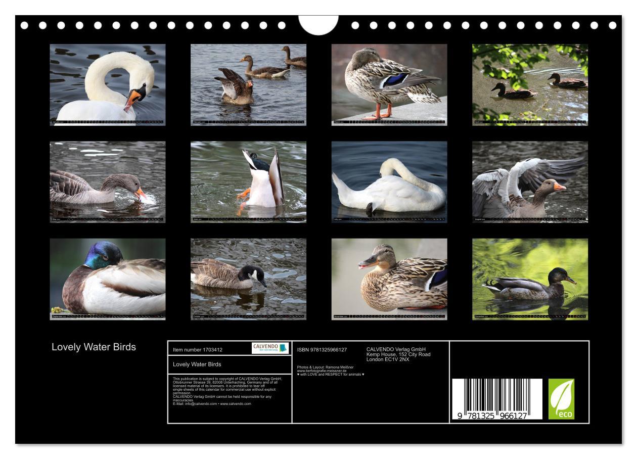 Bild: 9781325966127 | Lovely Water Birds (Wall Calendar 2025 DIN A4 landscape), CALVENDO...