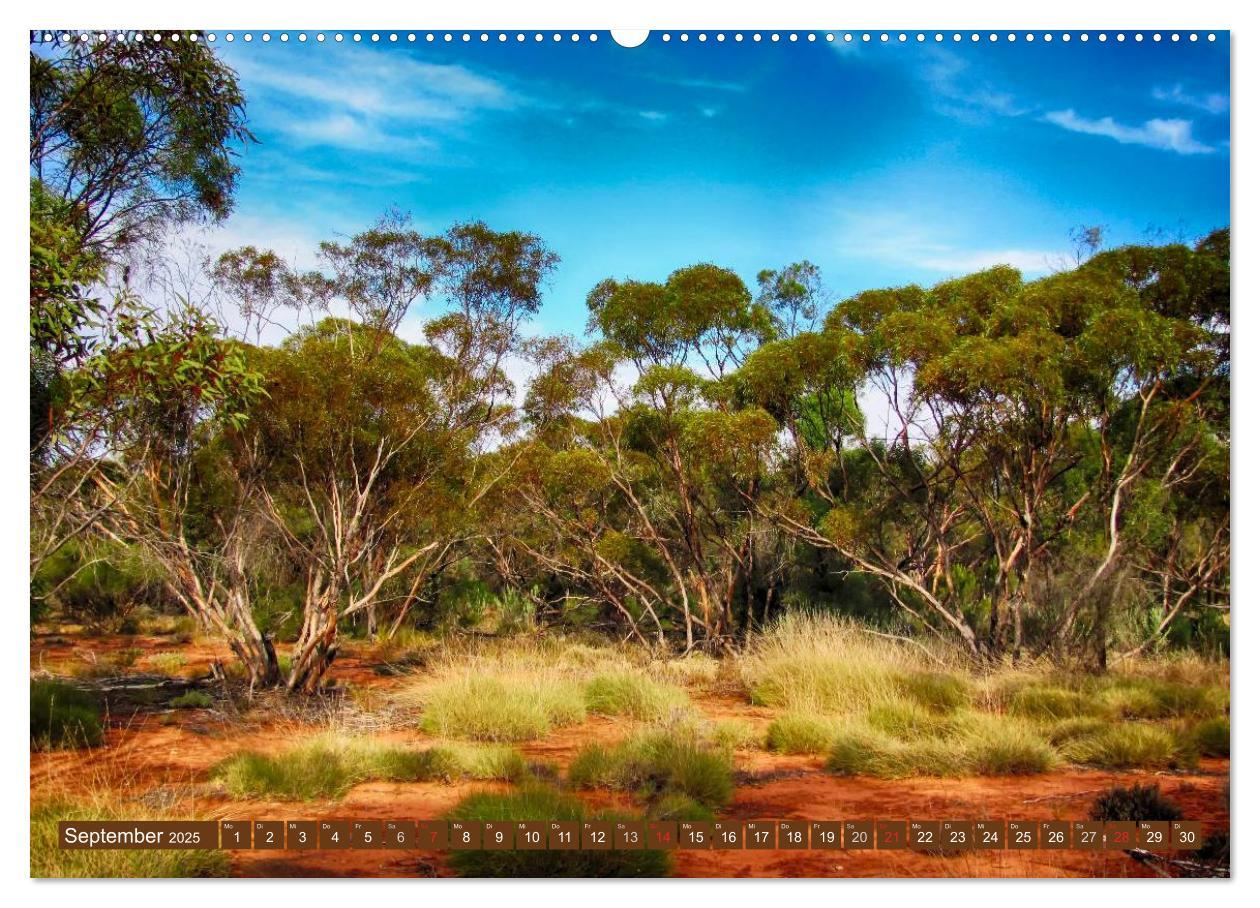 Bild: 9783435740857 | Australien ¿ Impressionen (Wandkalender 2025 DIN A2 quer), CALVENDO...