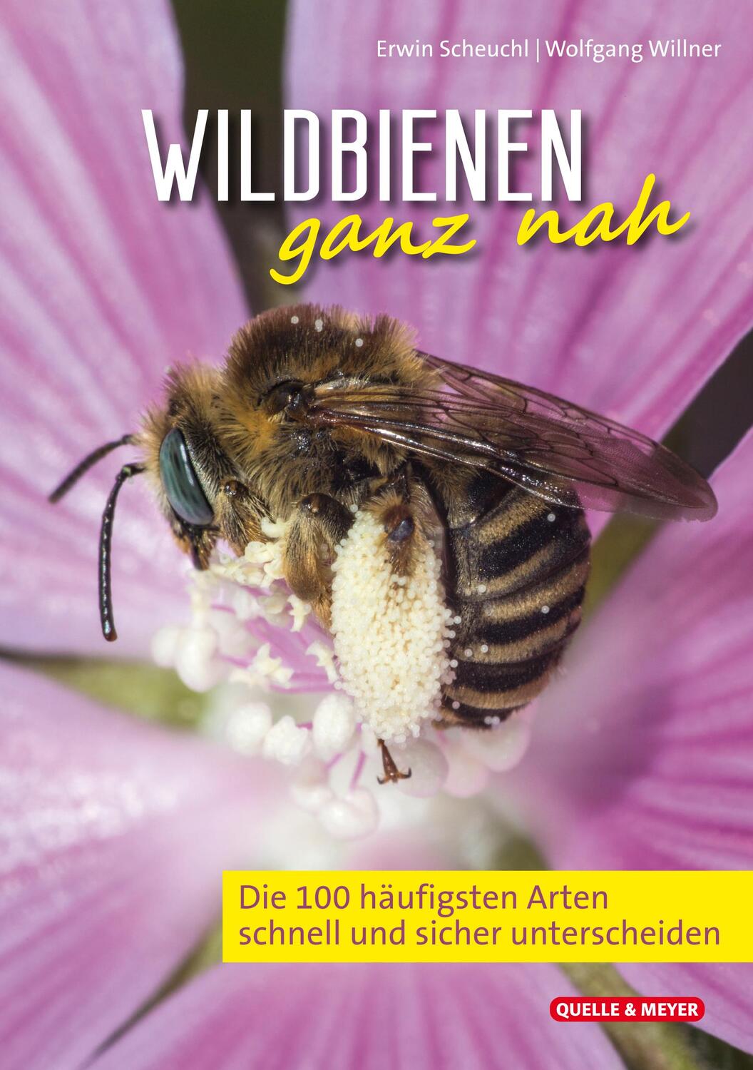 Cover: 9783494018706 | Wildbienen ganz nah | Erwin Scheuchl (u. a.) | Taschenbuch | Deutsch