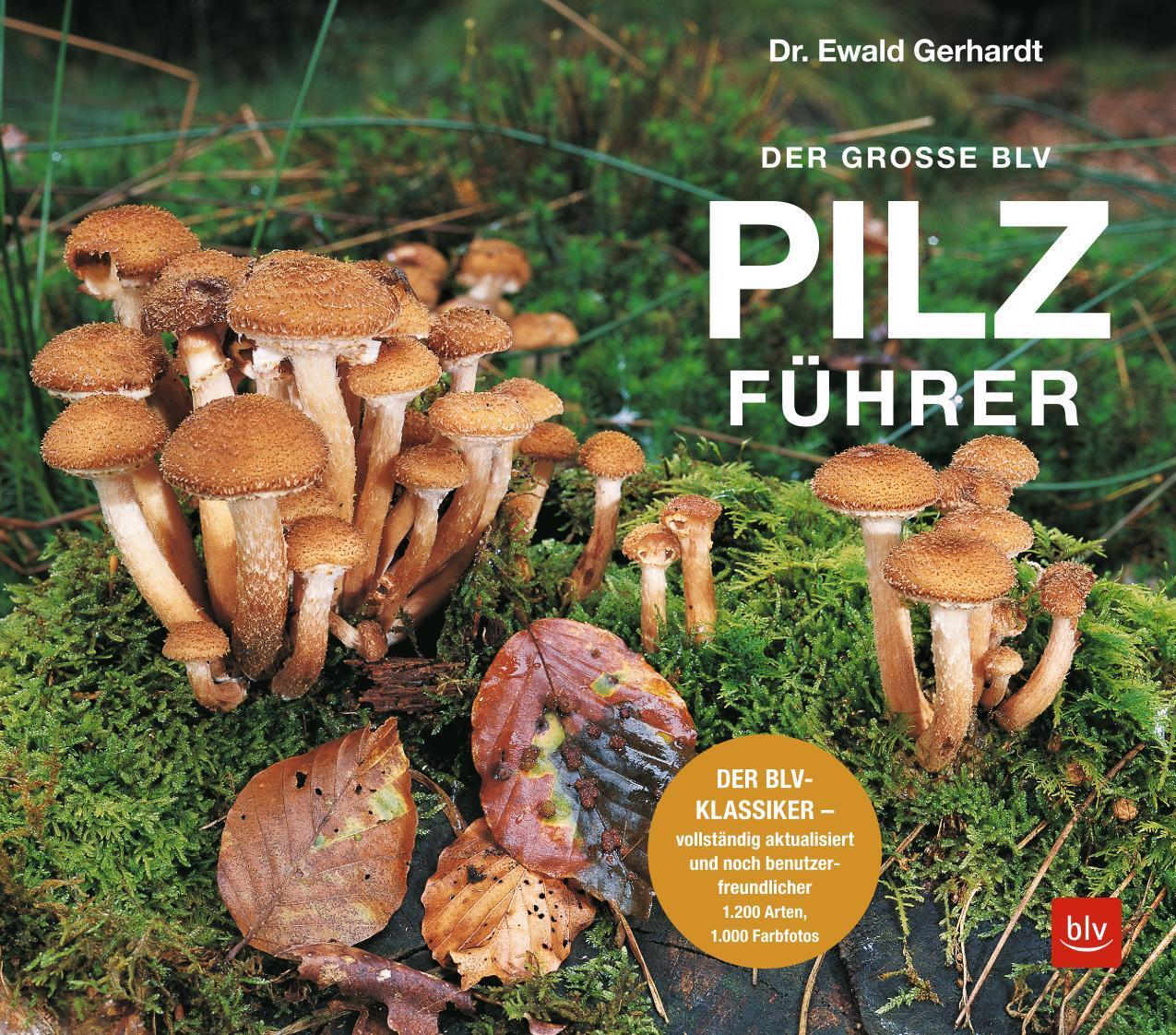 Bild: 9783967470123 | Der große BLV Pilzführer | Ewald Gerhardt | Taschenbuch | 736 S.