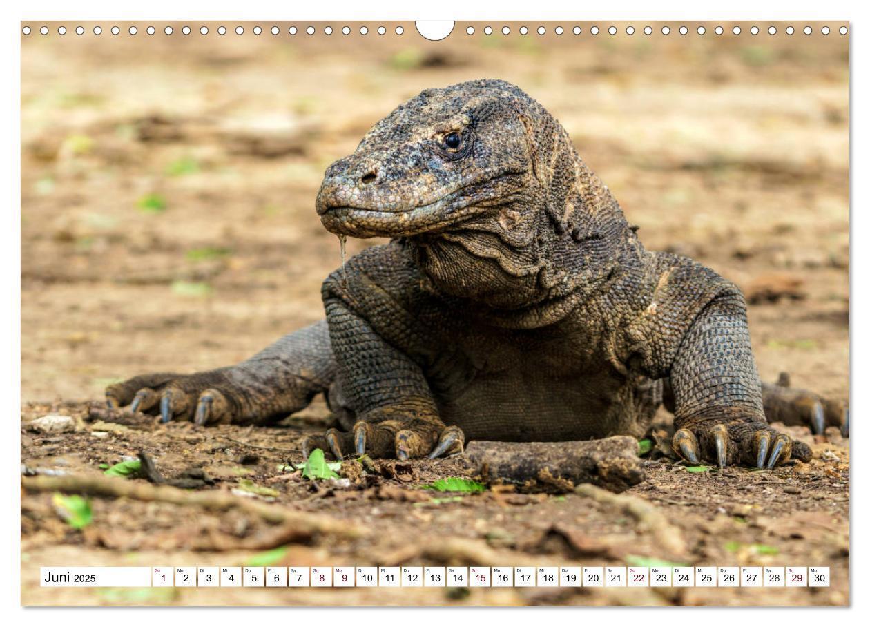 Bild: 9783435408825 | Indonesien - Inselparadies Flores &amp; Komodo (Wandkalender 2025 DIN...