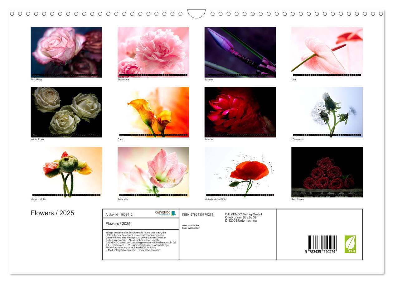 Bild: 9783435770274 | Flowers / 2025 (Wandkalender 2025 DIN A3 quer), CALVENDO...