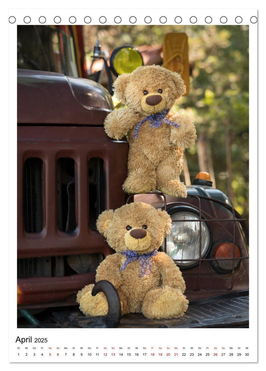 Bild: 9783435984435 | Travelling Teddy Kuba Edition 2025 (Tischkalender 2025 DIN A5...