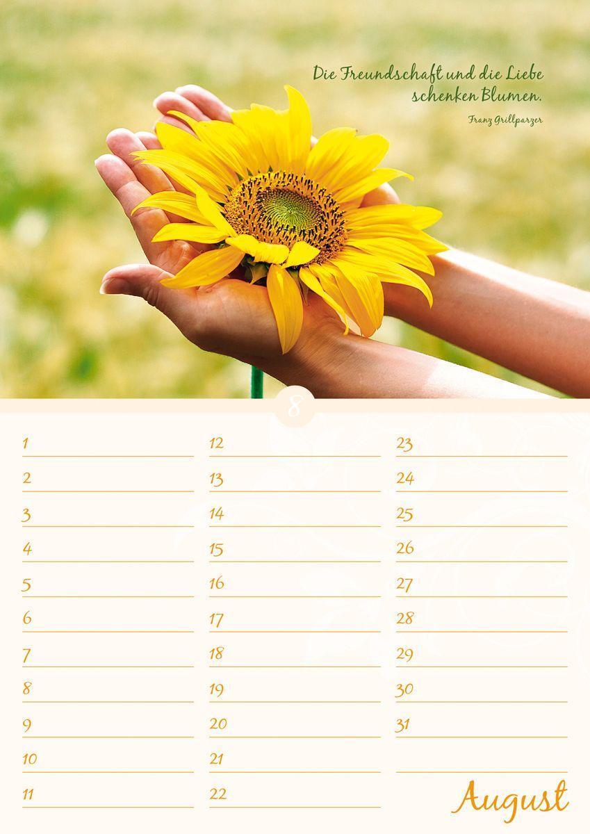 Bild: 9783840737176 | Geburtstagskalender Blütenpracht immerwährend | Kalender | 14 S.
