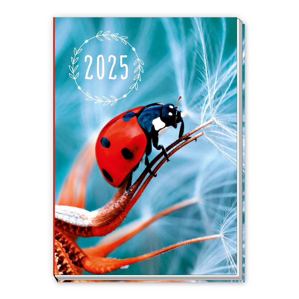 Cover: 4251901506931 | Trötsch Taschenkalender A7 Marienkäfer 2025 | Mini-Terminkalender