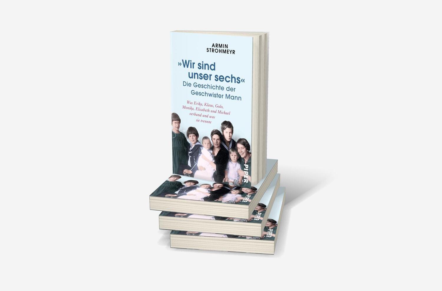 Bild: 9783492317023 | 'Wir sind unser sechs' - Die Geschichte der Geschwister Mann | Buch