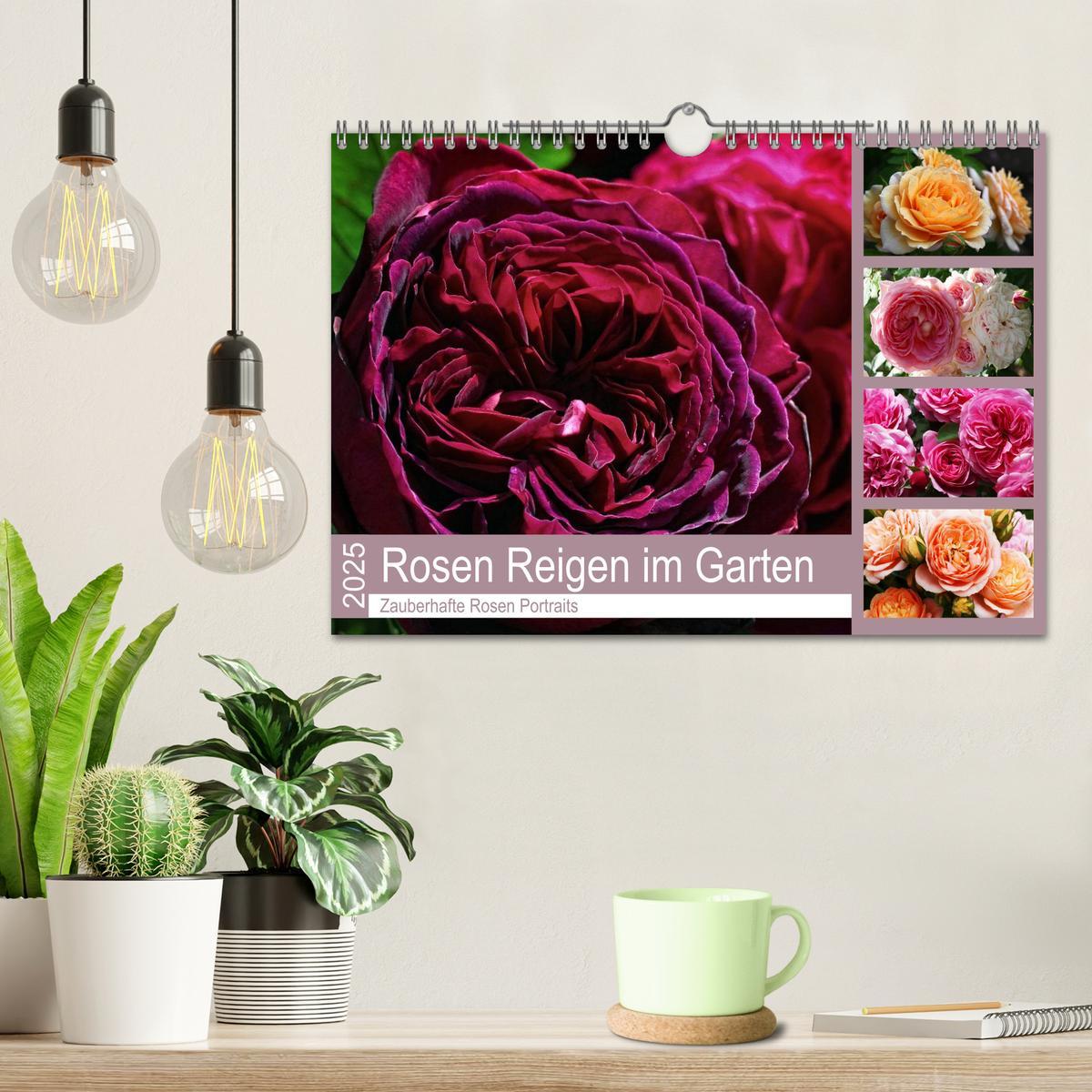 Bild: 9783435453566 | Rosen Reigen im Garten (Wandkalender 2025 DIN A4 quer), CALVENDO...