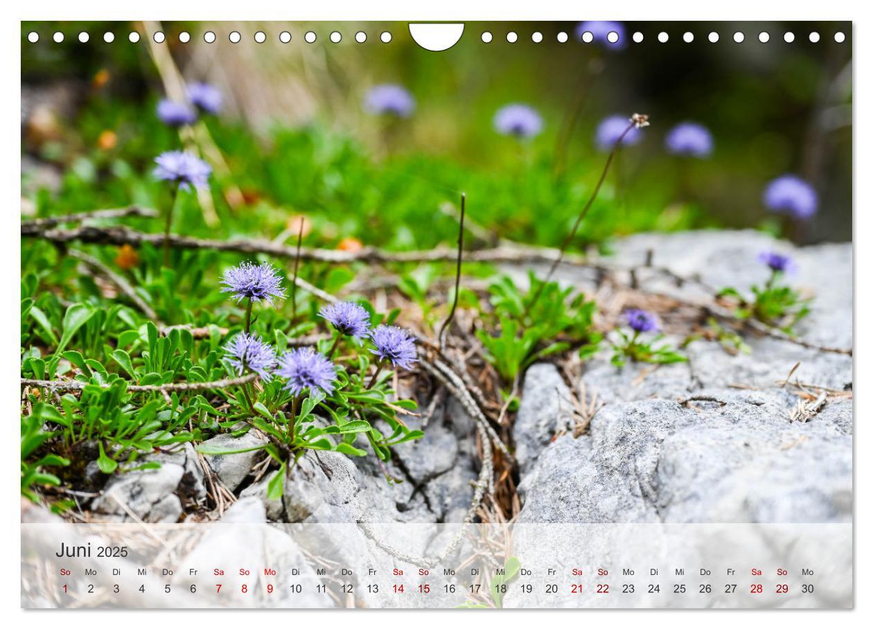 Bild: 9783457127759 | Alpenwelten-Zwischen Wetterstein und Karwendel (Wandkalender 2025...