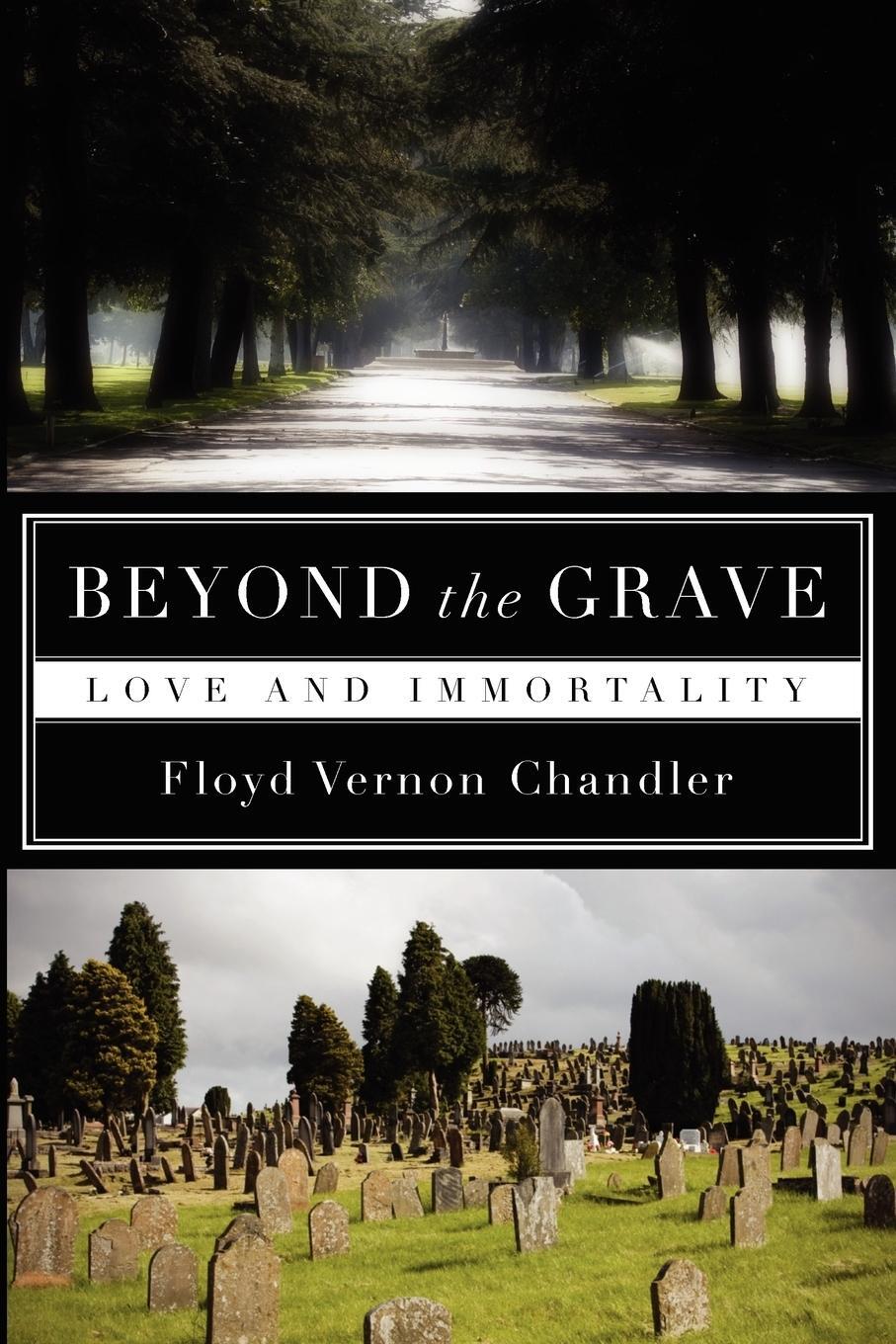 Cover: 9781606089385 | Beyond the Grave | Love and Immortality | Floyd Vernon Chandler | Buch
