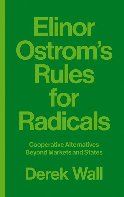 Cover: 9780745399355 | Elinor Ostrom's Rules for Radicals | Derek Wall | Taschenbuch | 2017