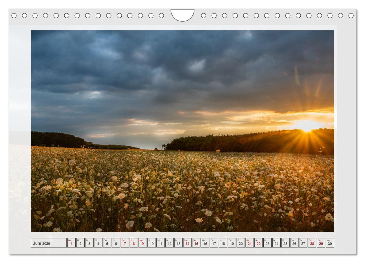 Bild: 9783457243060 | Naturpark Dümmer (Wandkalender 2025 DIN A4 quer), CALVENDO...