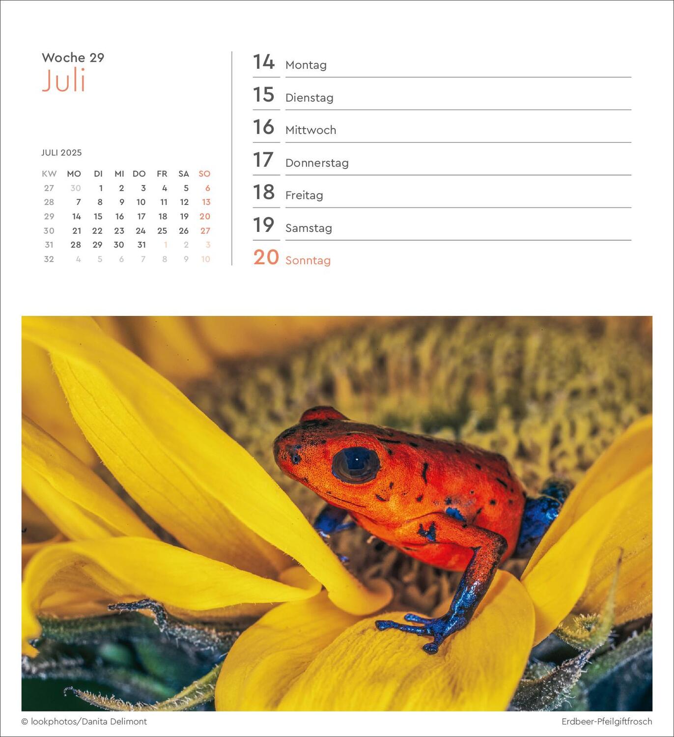 Bild: 9783965913882 | Farben der Erde - KUNTH Postkartenkalender 2025 | Kalender | 53 S.