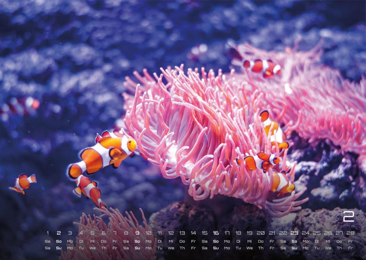 Bild: 9783986734305 | Sealife - verborgene Tiefen - 2025 - Kalender DIN A3 | GP-Fever. de