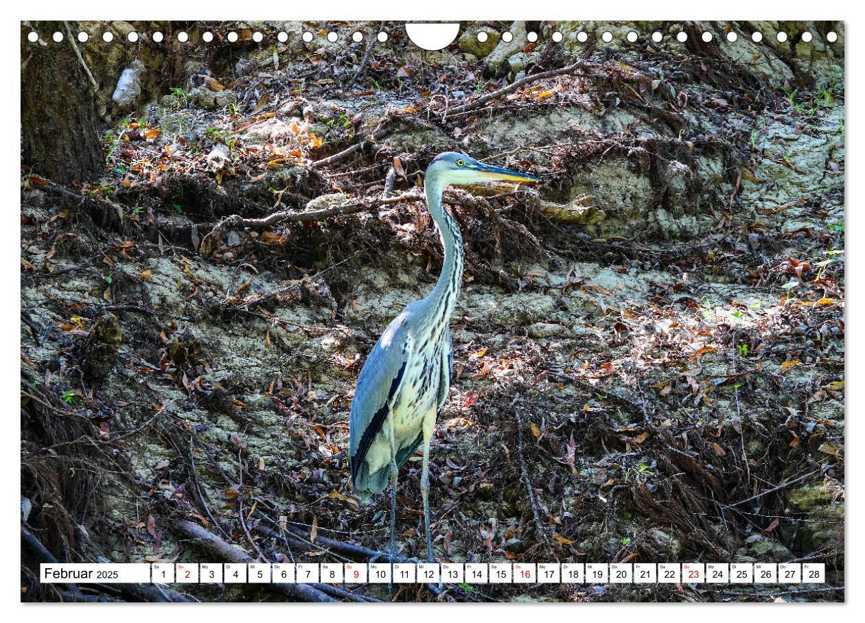 Bild: 9783383803024 | Rund um das Donaudelta (Wandkalender 2025 DIN A4 quer), CALVENDO...