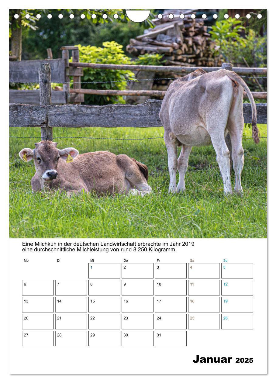 Bild: 9783435943203 | Liebenswerte Landtiere (Wandkalender 2025 DIN A4 hoch), CALVENDO...