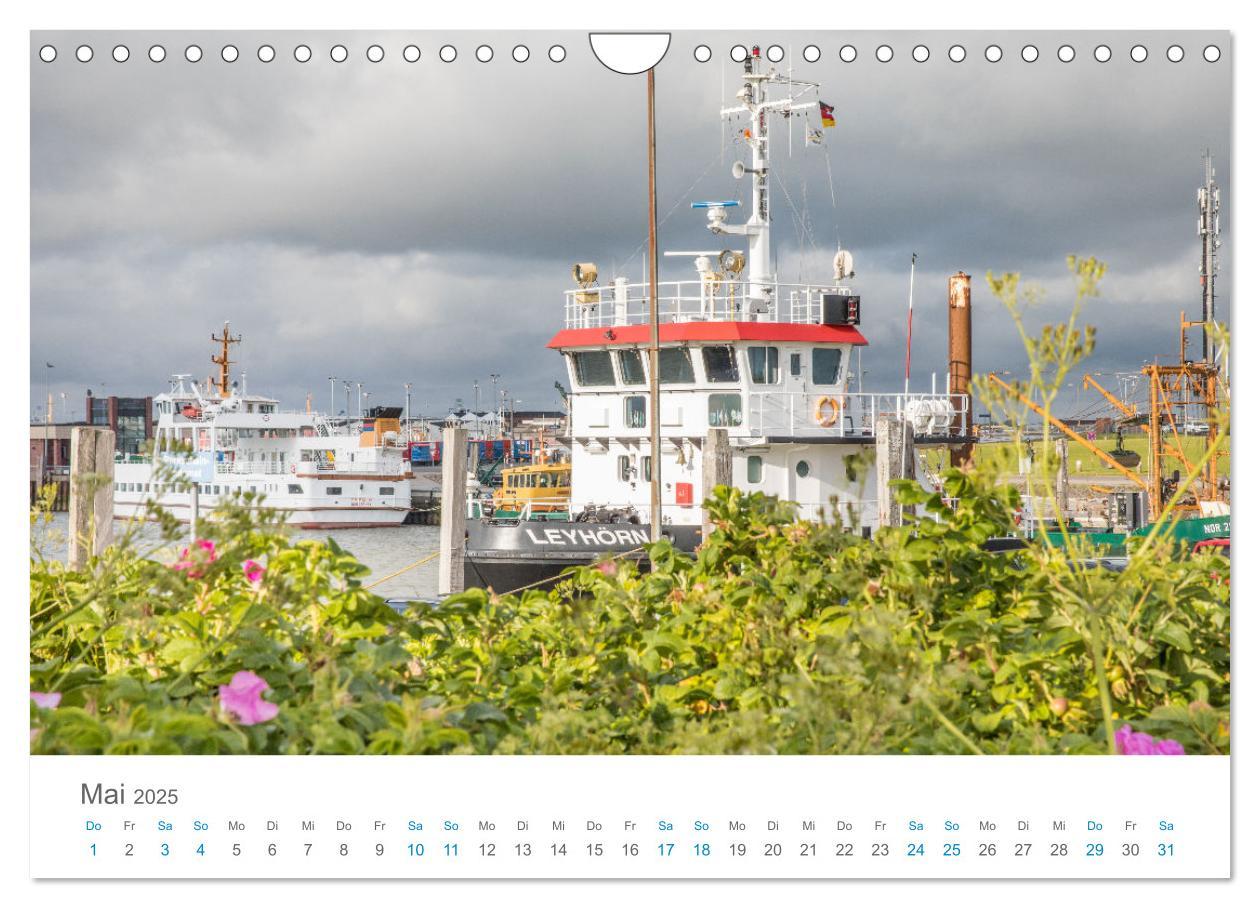 Bild: 9783435071913 | Moin Norden-Norddeich (Wandkalender 2025 DIN A4 quer), CALVENDO...