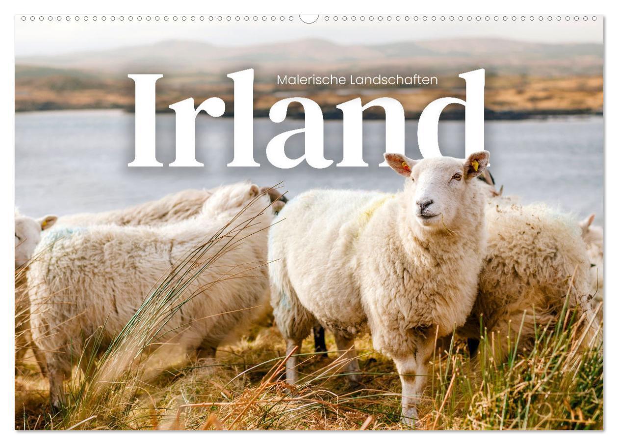 Cover: 9783675642546 | Irland - Malerische Landschaften (Wandkalender 2024 DIN A2 quer),...
