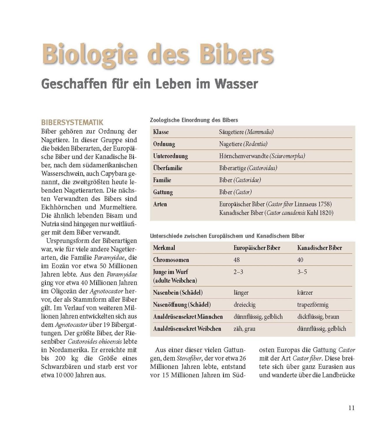 Bild: 9783955877934 | Der Biber | Baumeister mit Biss | Volker Zahner (u. a.) | Buch | 2021