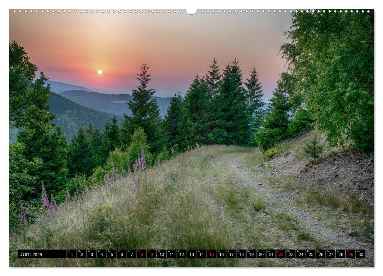 Bild: 9783435538171 | Der Harz einfach magisch (Wandkalender 2025 DIN A2 quer), CALVENDO...