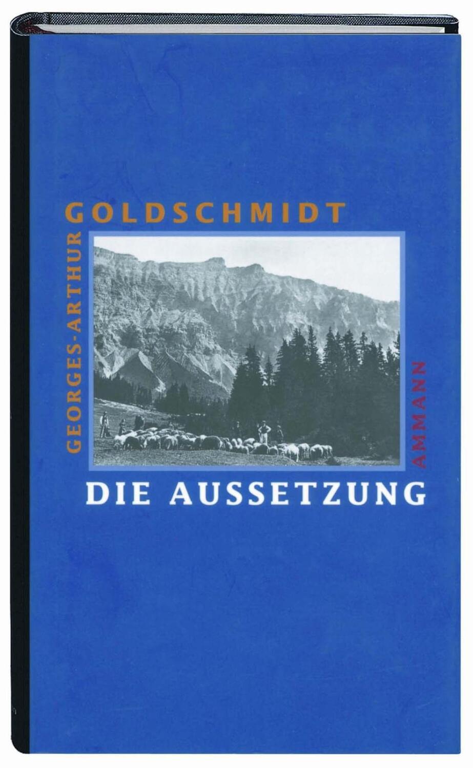 Cover: 9783100344328 | Die Aussetzung | Roman | Georges-Arthur Goldschmidt | Buch | 240 S.