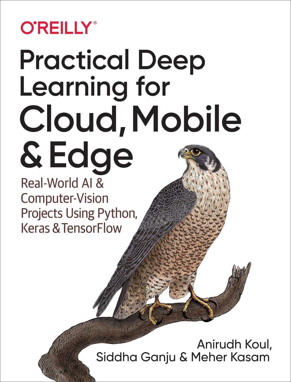 Cover: 9781492034865 | Practical Deep Learning for Cloud and Mobile | Anirudh Koul (u. a.)