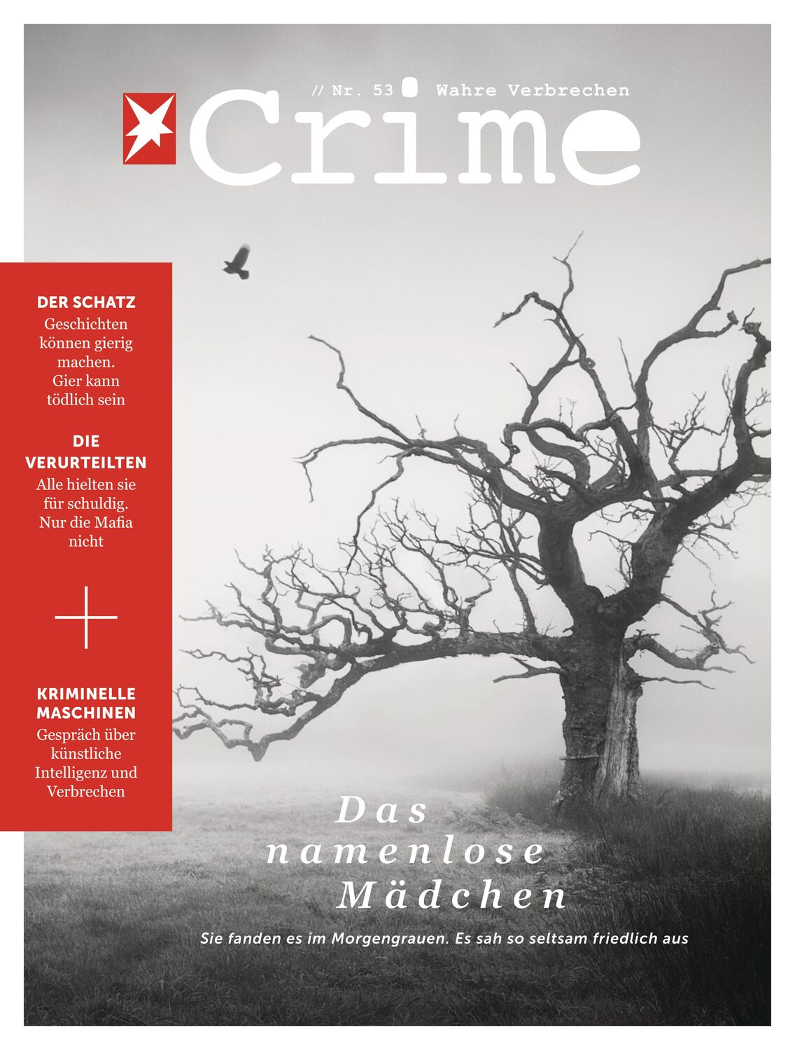 Cover: 9783734175459 | stern Crime - Wahre Verbrechen | Ausgabe Nr. 53 (01/2024) | Buch