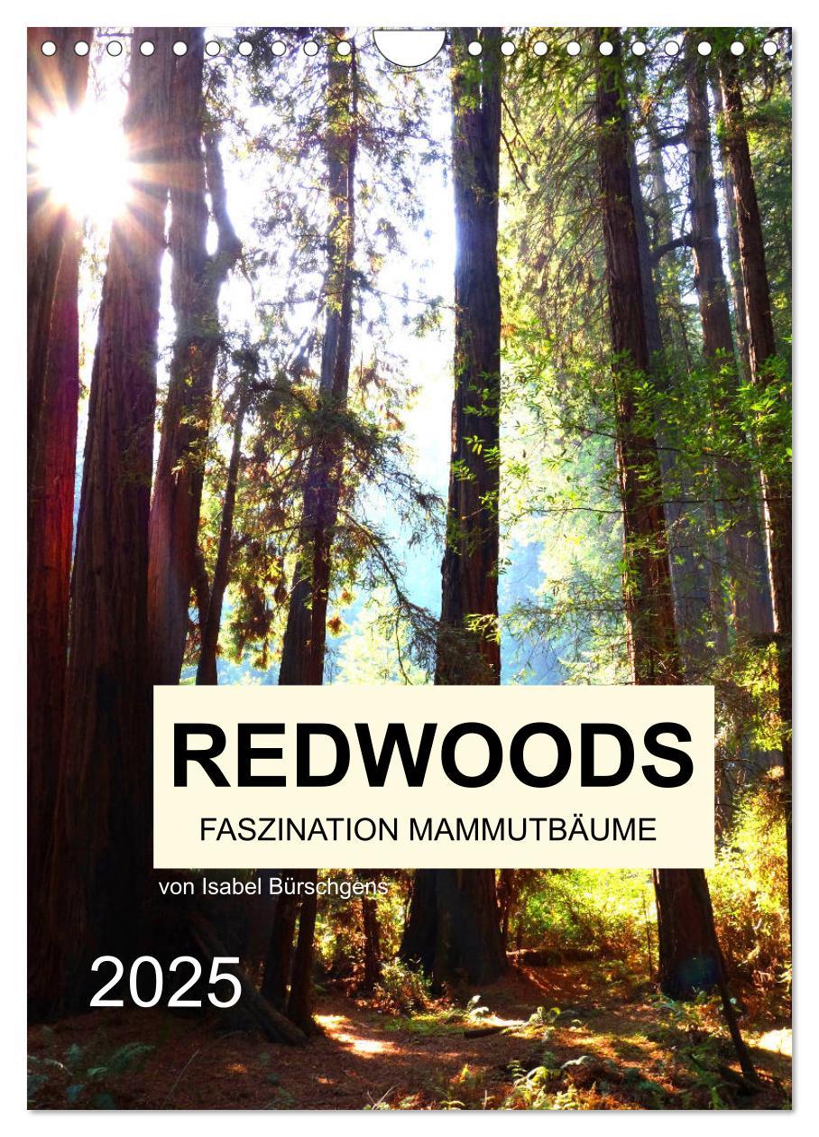 Cover: 9783435979240 | Redwoods - Faszination Mammutbäume (Wandkalender 2025 DIN A4 hoch),...