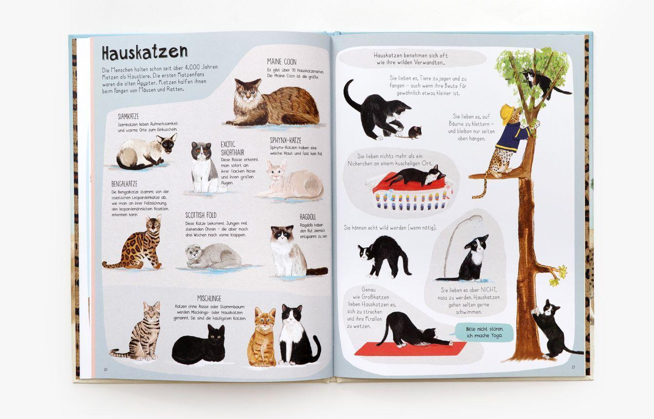 Bild: 9783962442071 | Das Katzen-Buch | Zu Besuch bei Katzen aus aller Welt | Katie Viggers