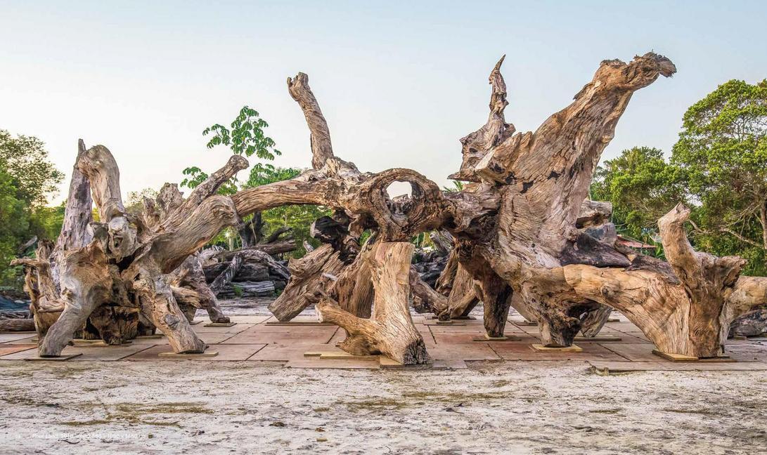 Bild: 9783954763009 | Roots | Ai Weiwei | Buch | 124 S. | Englisch | 2019 | Distanz Verlag