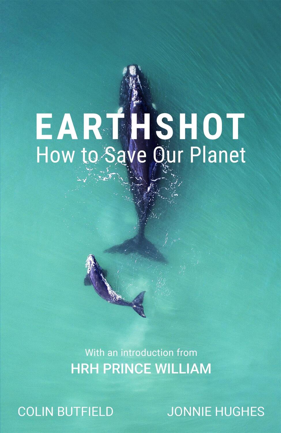 Cover: 9781529388633 | Earthshot | Colin Butfield (u. a.) | Taschenbuch | XIV | Englisch