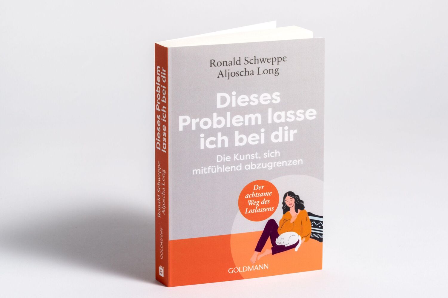 Bild: 9783442223770 | Dieses Problem lasse ich bei dir | Aljoscha Long (u. a.) | Taschenbuch