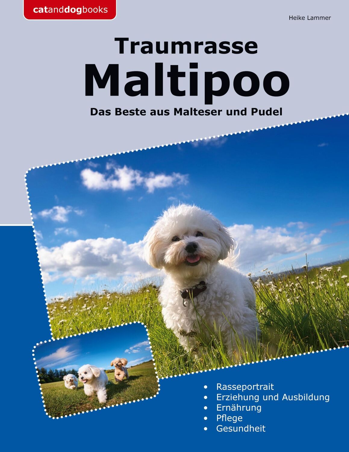 Cover: 9783759777041 | Traumrasse Maltipoo | Das Beste aus Malteser und Pudel | Heike Lammer