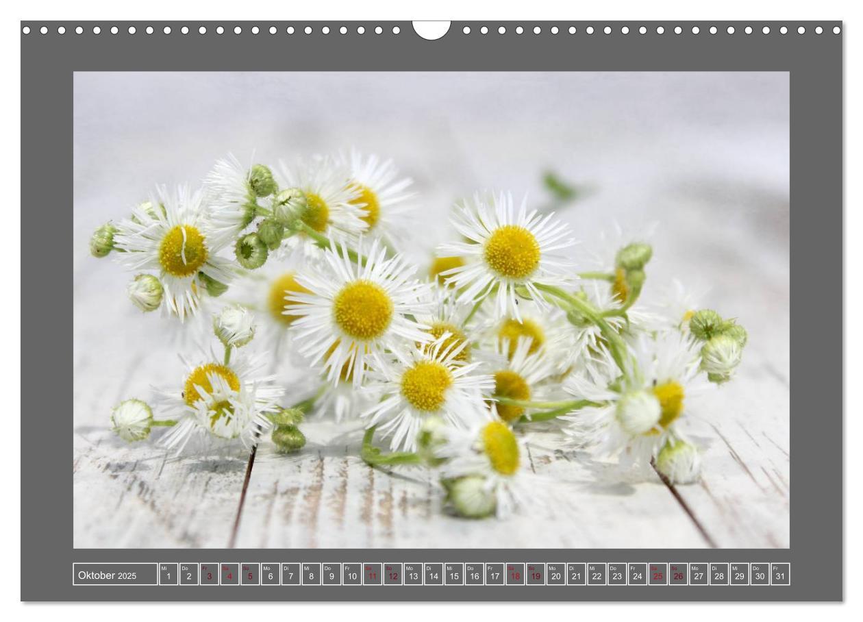 Bild: 9783435835409 | Blumen für dich (Wandkalender 2025 DIN A3 quer), CALVENDO...