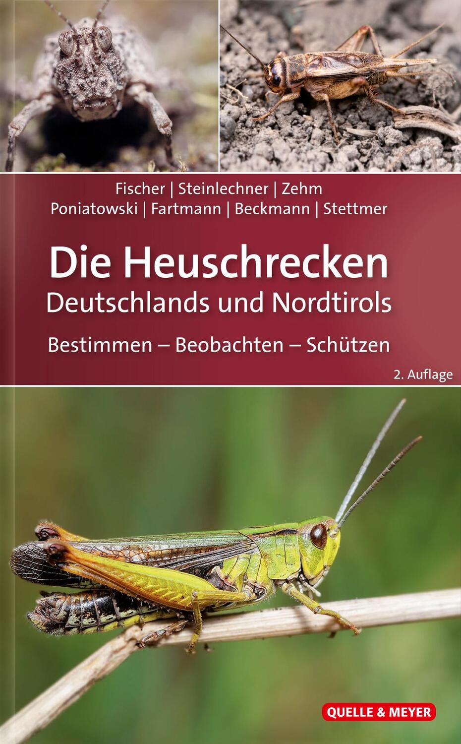 Cover: 9783494017952 | Die Heuschrecken Deutschlands und Nordtirols | Jürgen Fischer (u. a.)