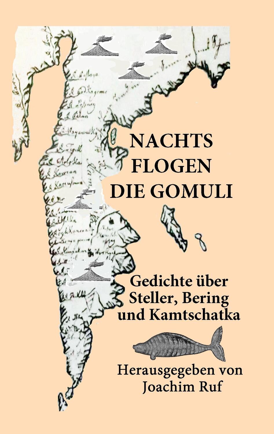 Cover: 9783735737175 | Nachts flogen die Gomuli | Joachim Ruf | Taschenbuch | Books on Demand