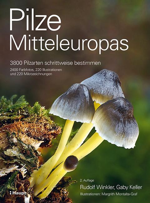 Cover: 9783258083889 | Pilze Mitteleuropas | Rudolf Winkler (u. a.) | Buch | 1056 S. | 2024