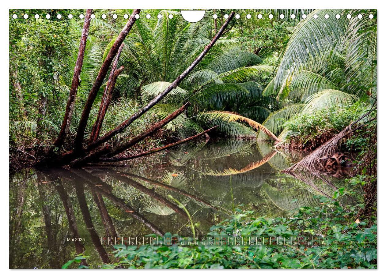 Bild: 9783435444366 | Seychellen - Inselparadiese Mahé La Digue Praslin (Wandkalender...