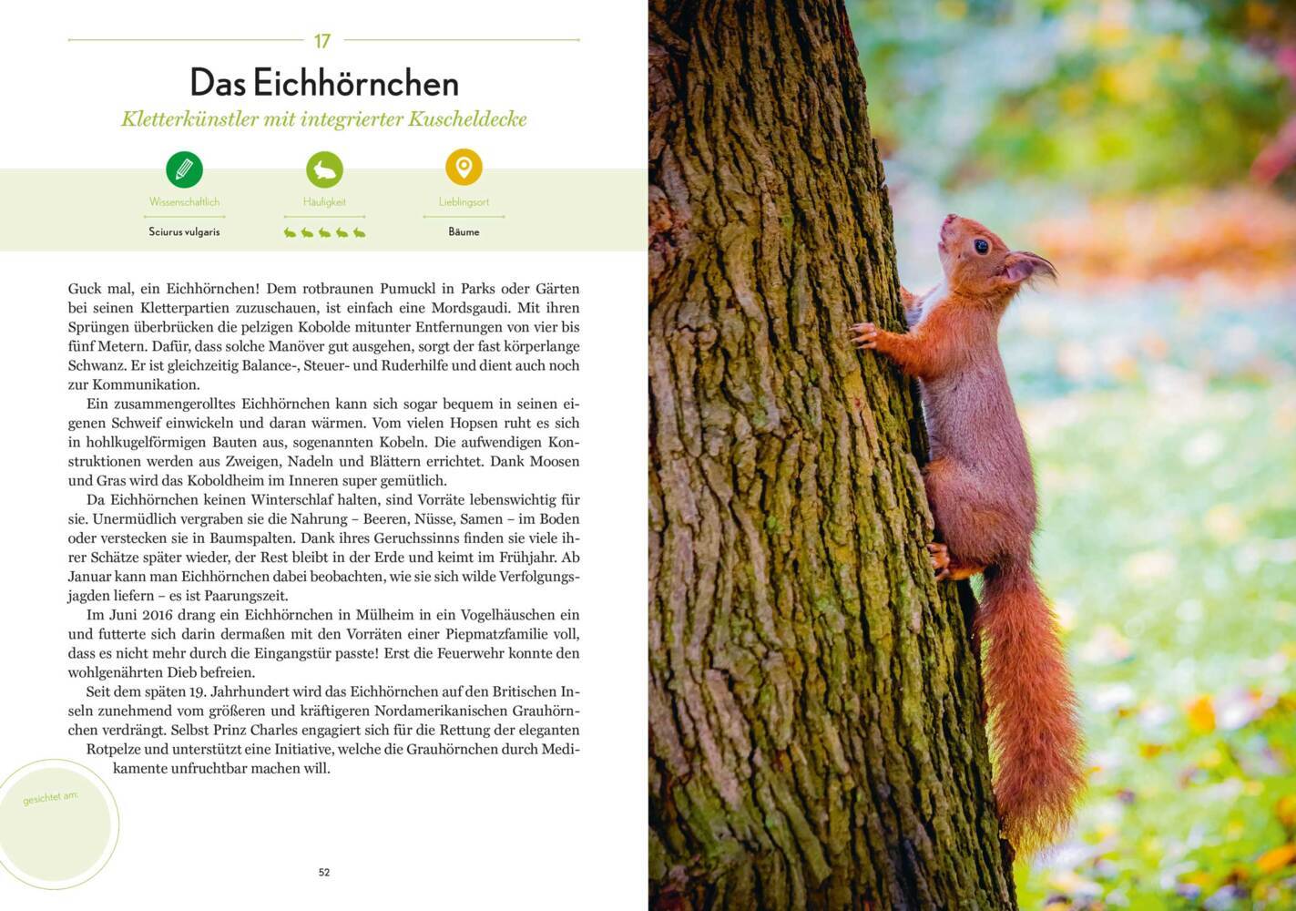 Bild: 9783959101608 | Stadtwild | Nicolas Bogislav von Lettow-Vorbeck | Taschenbuch | 208 S.