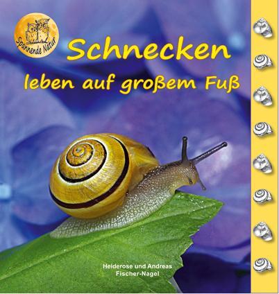 Cover: 9783930038220 | Schnecken | Heiderose Fischer-Nagel (u. a.) | Buch | Deutsch | 2011