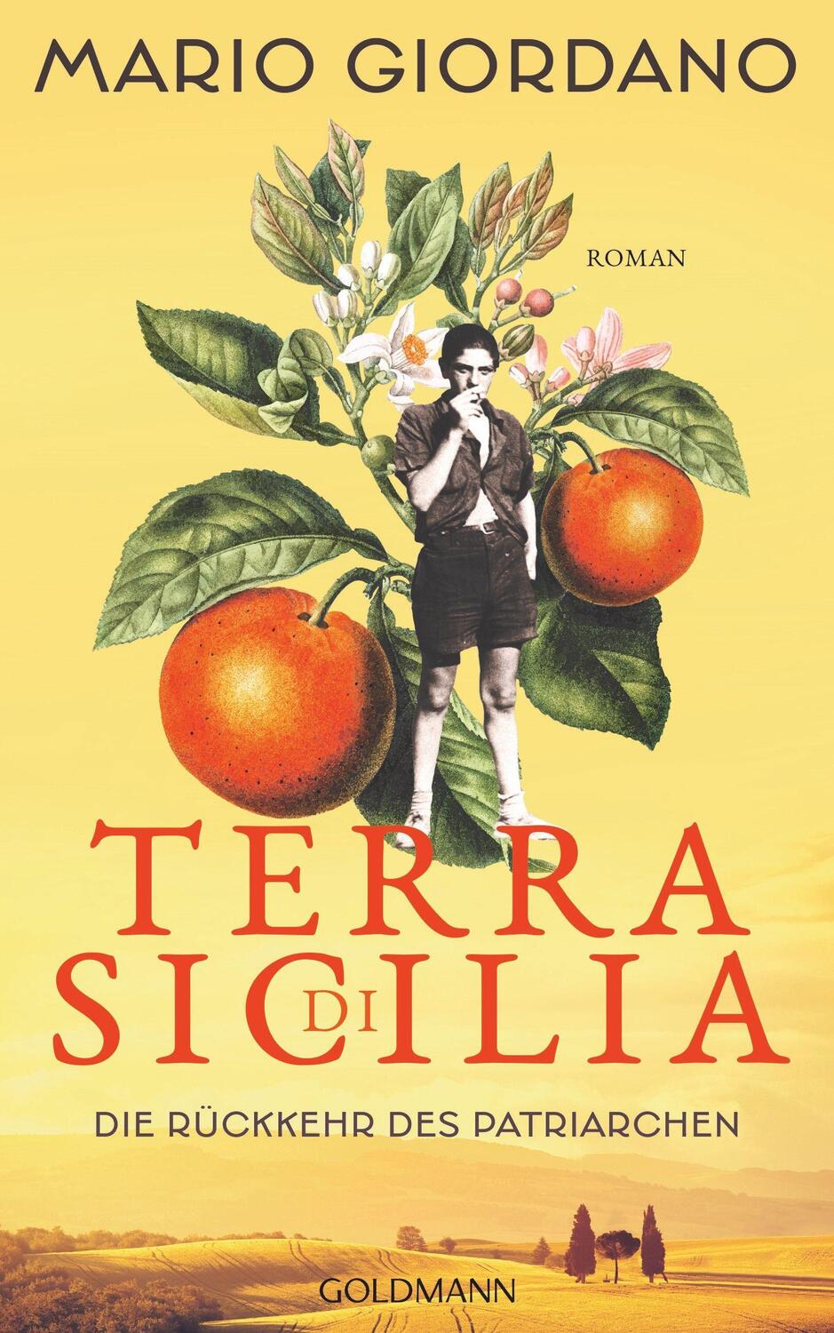 Cover: 9783442315604 | Terra di Sicilia. Die Rückkehr des Patriarchen | Roman | Giordano