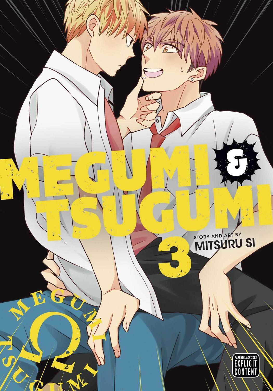 Cover: 9781974738892 | Megumi &amp; Tsugumi, Vol. 3 | Mitsuru Si | Taschenbuch | Megumi &amp; Tsugumi